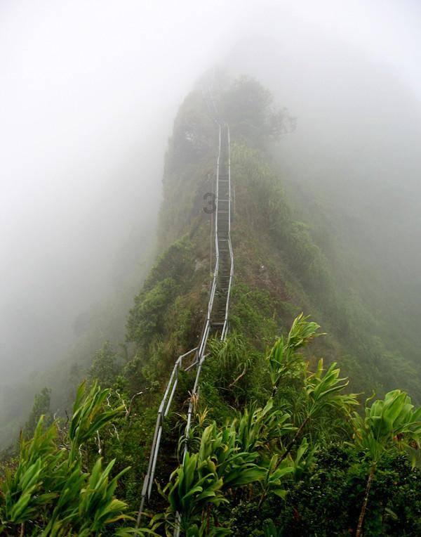牛油果面包