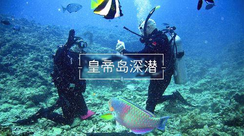 丧尸围城4