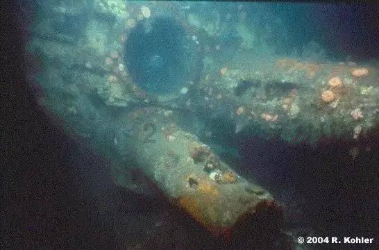 名流设计