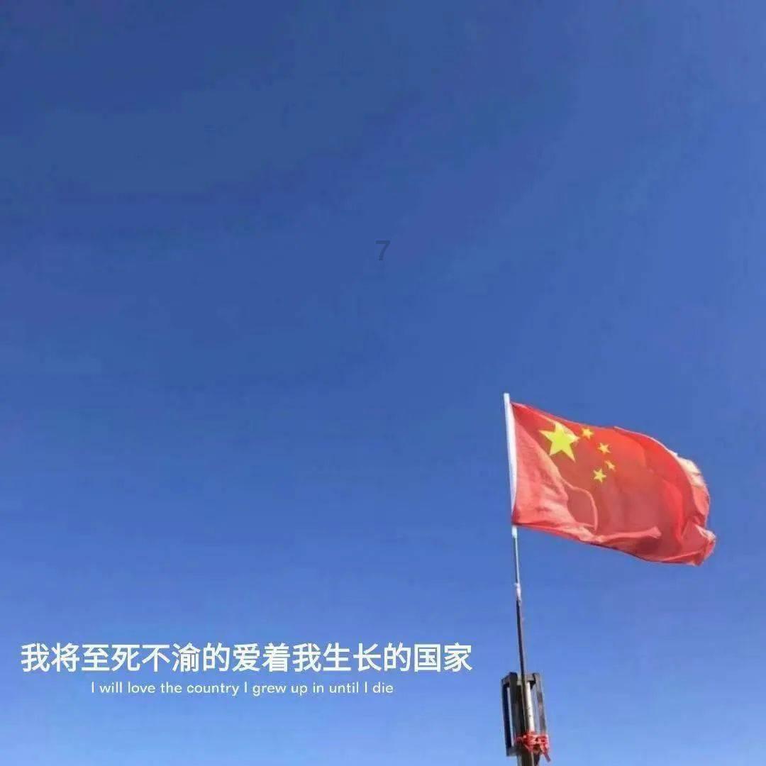 鸟鸣攻击
