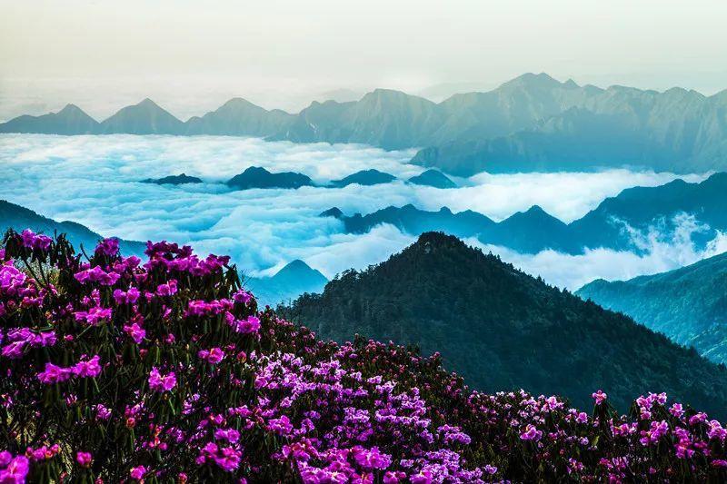 哈尔滨工业大学排名怎么样?院士之巅的璀璨明珠,育优质人才