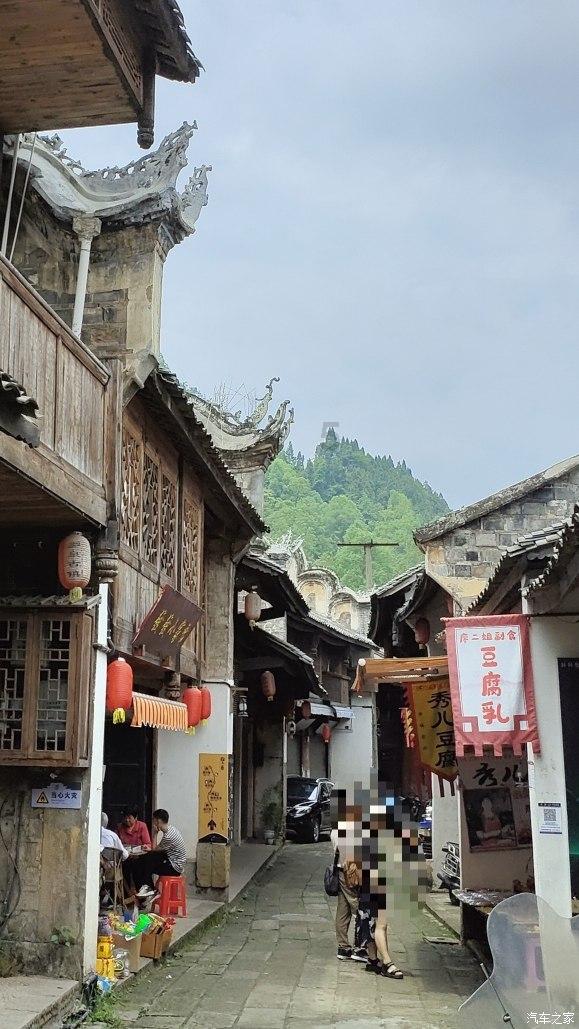 逃离白鸽之森