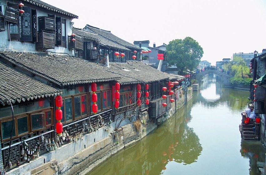 小猪佩奇饲养员
